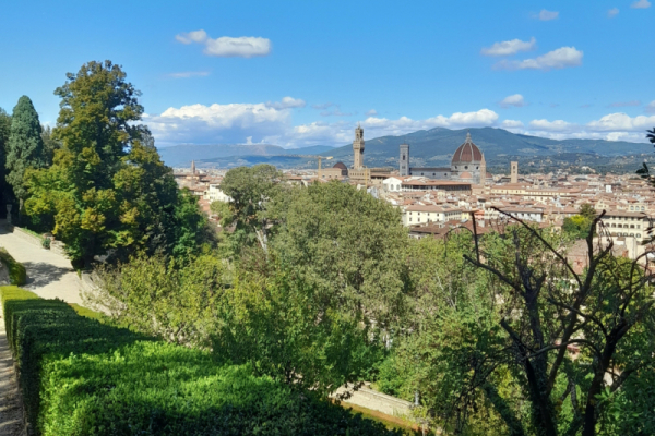 The hills of the Oltrarno